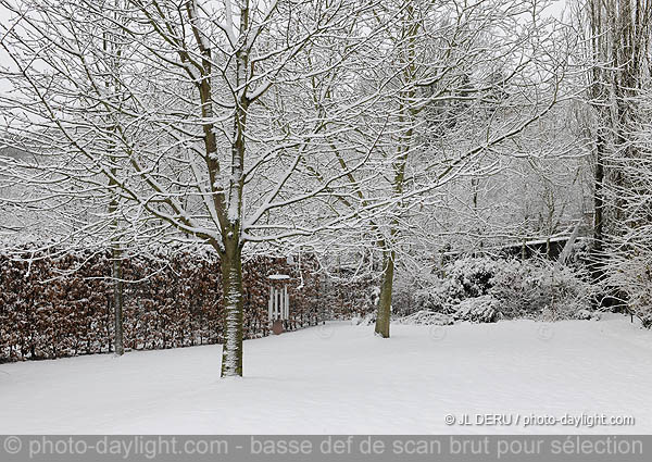 jardin sous la neige